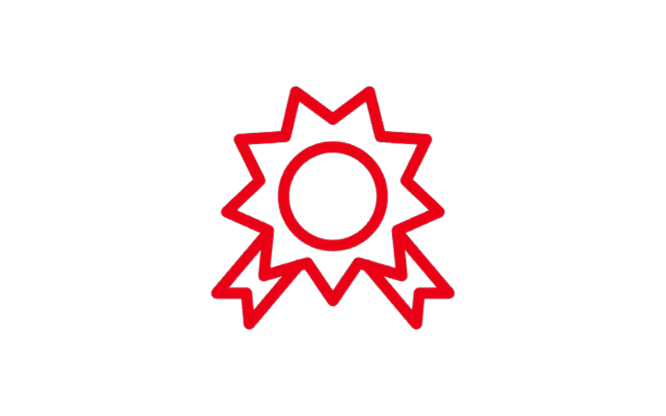 Icon STraffung